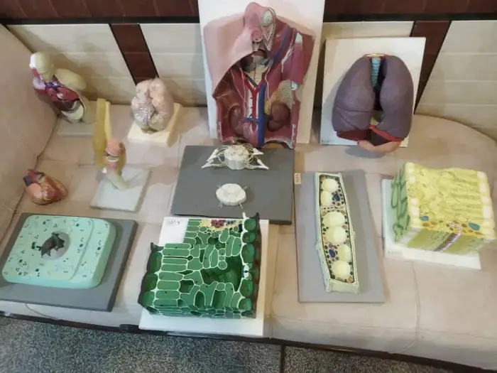 فروش تجهیزات آزمایشگاهی دبیرستان در شوش استان خوزستان