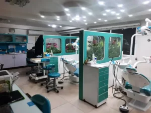 استخدام دستیار دندانپزشک جهت کلینیک در عباس‌آباد تهران