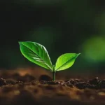 استخدام روانشناس، پرستار، ماما و بهیار جهت کلینیک ترک اعتیاد در تبریز