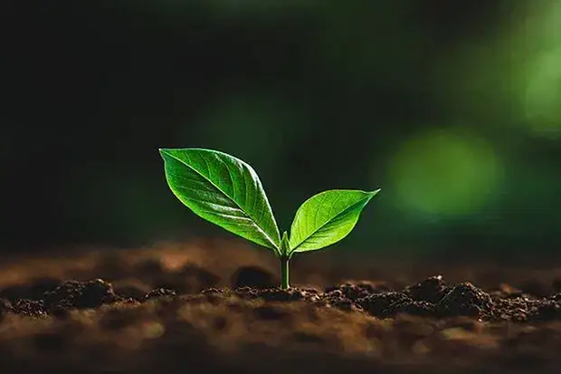 استخدام روانشناس، پرستار، ماما و بهیار جهت کلینیک ترک اعتیاد در تبریز