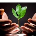 استخدام پرستار، بهیار، ماما و تکنسین اتاق عمل جهت کلینیکmmt در فلاح تهران