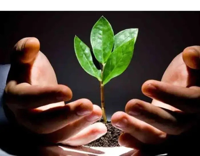 استخدام پرستار، بهیار، ماما و تکنسین اتاق عمل جهت کلینیکmmt در فلاح تهران