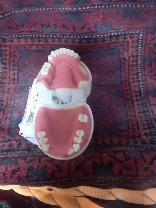 فروش تجهیزات دندانپزشکی در مشهد