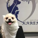 استخدام مسئول پذیرش جهت کلینیک دامپزشکی در جنت‌آباد جنوبی تهران