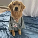 استخدام منشی جهت کلینیک دامپزشکی در شیراز