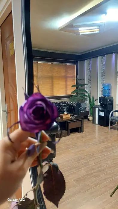 اجاره مطب زیبایی با تمامی تجهیزات در خیابان فلسطین قزوین