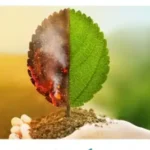 استخدام پزشک عمومی دارای مدرک mmt جهت کلینیک فعال در محمدشهر کرج