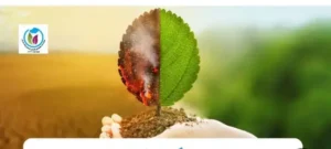 استخدام پزشک عمومی دارای مدرک mmt جهت کلینیک فعال در محمدشهر کرج