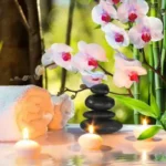 استخدام پزشک زیبایی یا متخصص طب سنتی در تهران