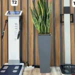 استخدام پزشک، کارشناس تغذیه، اپراتور لاغری و منشی جهت کلینیک تخصصی در ارومیه