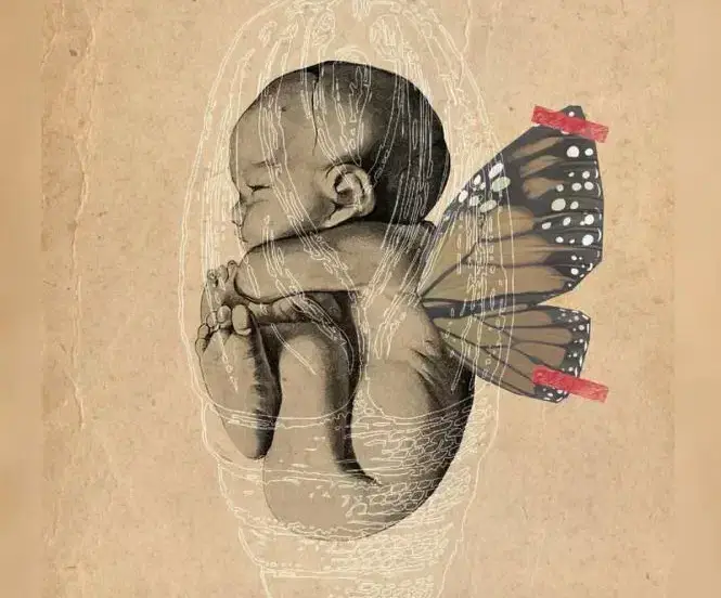 استخدام پزشک متخصص زنان و زایمان جهت کلینیک تخصصی در سرخرود استان مازندران