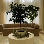 اجاره واحد، اتاق و لاین با امکانات کامل به پزشکان و کادر درمان در استان اصفهان