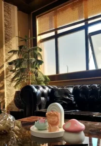 اجاره مطب زیبایی با تمامی تجهیزات در قزوین