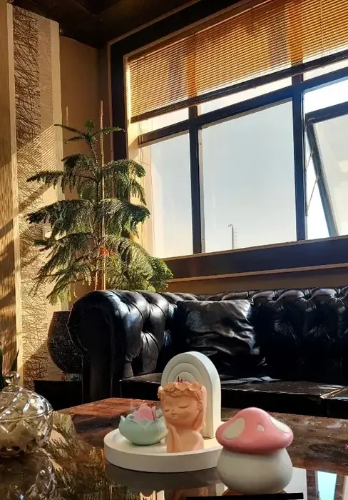 اجاره مطب زیبایی با تمامی تجهیزات در قزوین