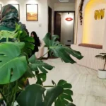 فروش تجهیزات و وسایل کلینیک زیبایی در سعادت‌آباد تهران