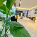 استخدام دامپزشک به عنوان مسئول فنی کلینیک در قم